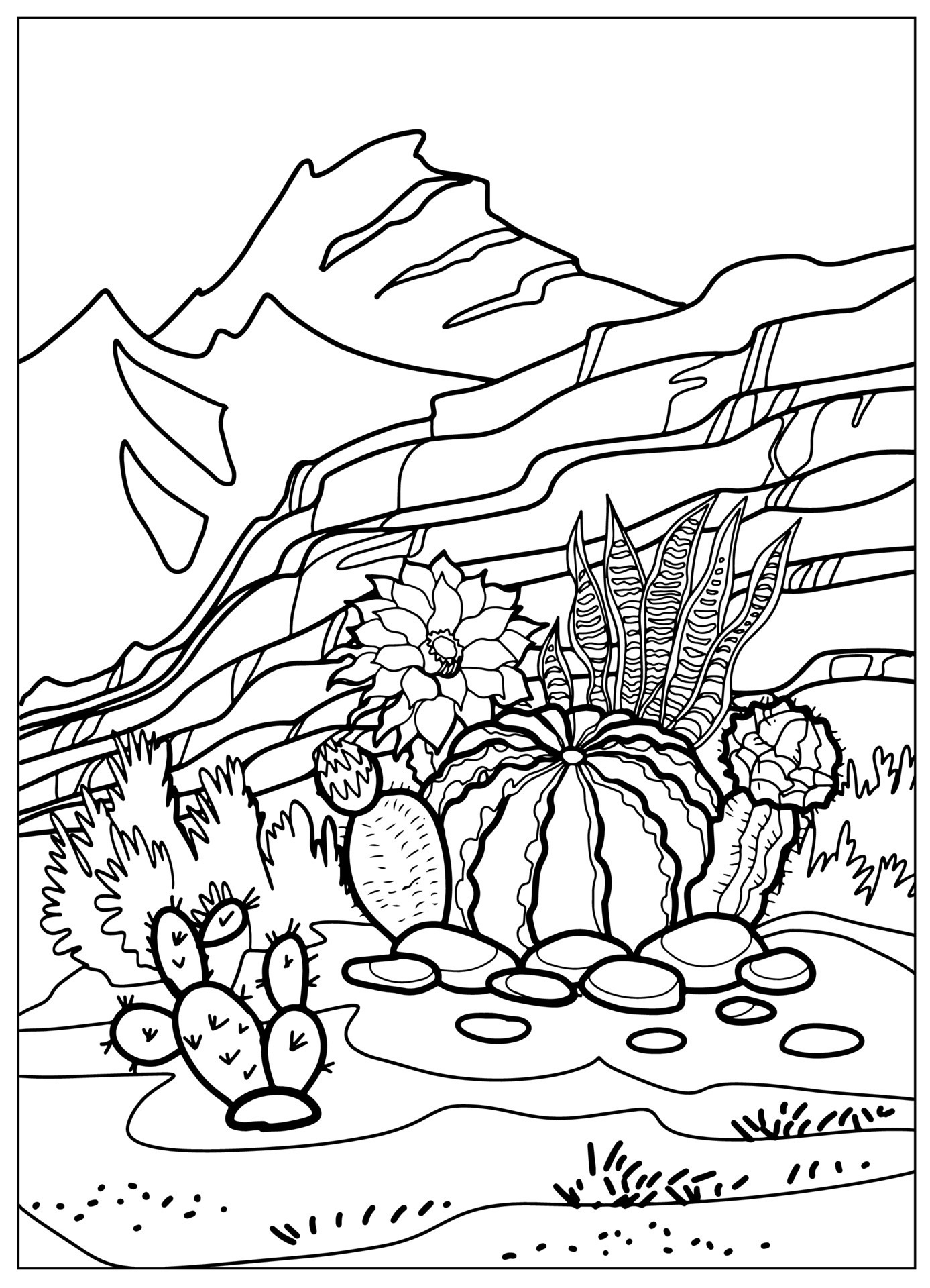 191 Desert Animals Coloring Pages for Kids Printable 7