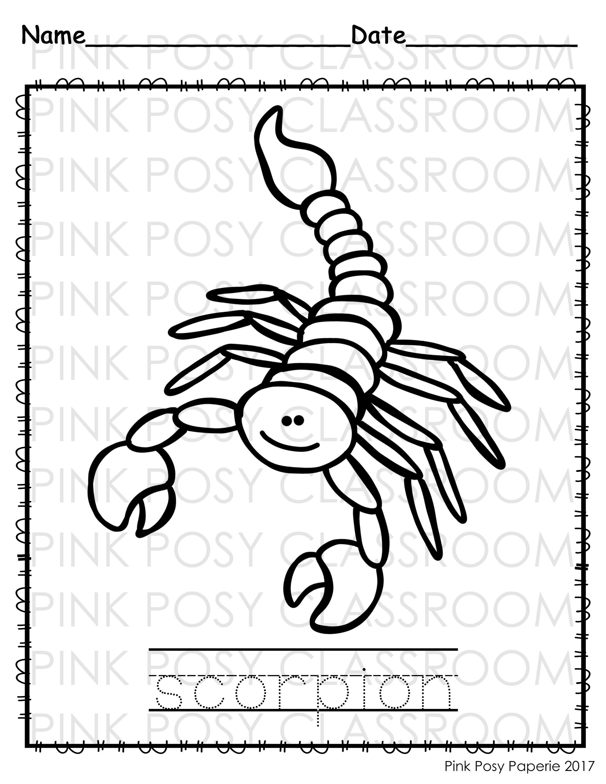 191 Desert Animals Coloring Pages for Kids Printable 71