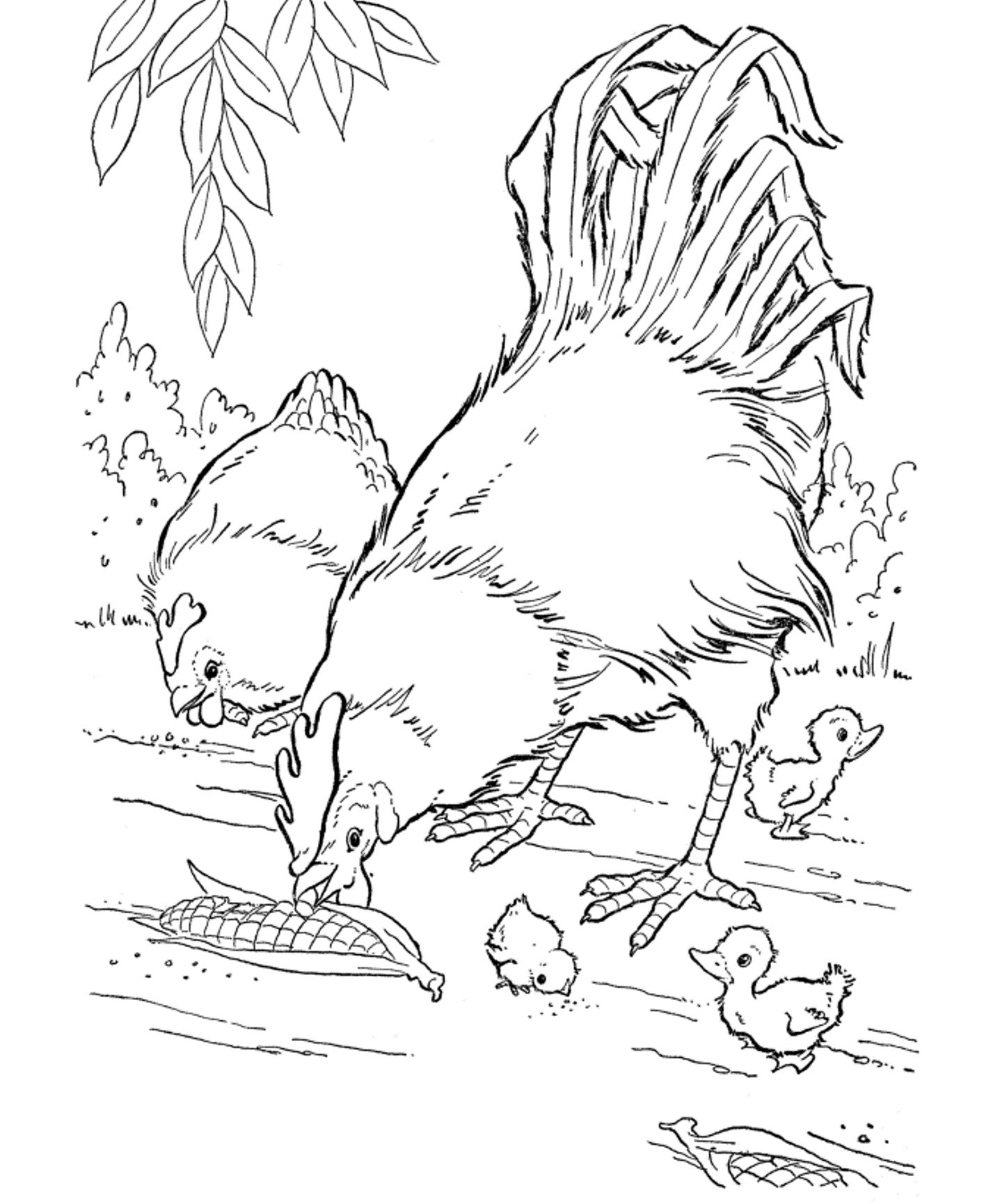 191 Desert Animals Coloring Pages for Kids Printable 72