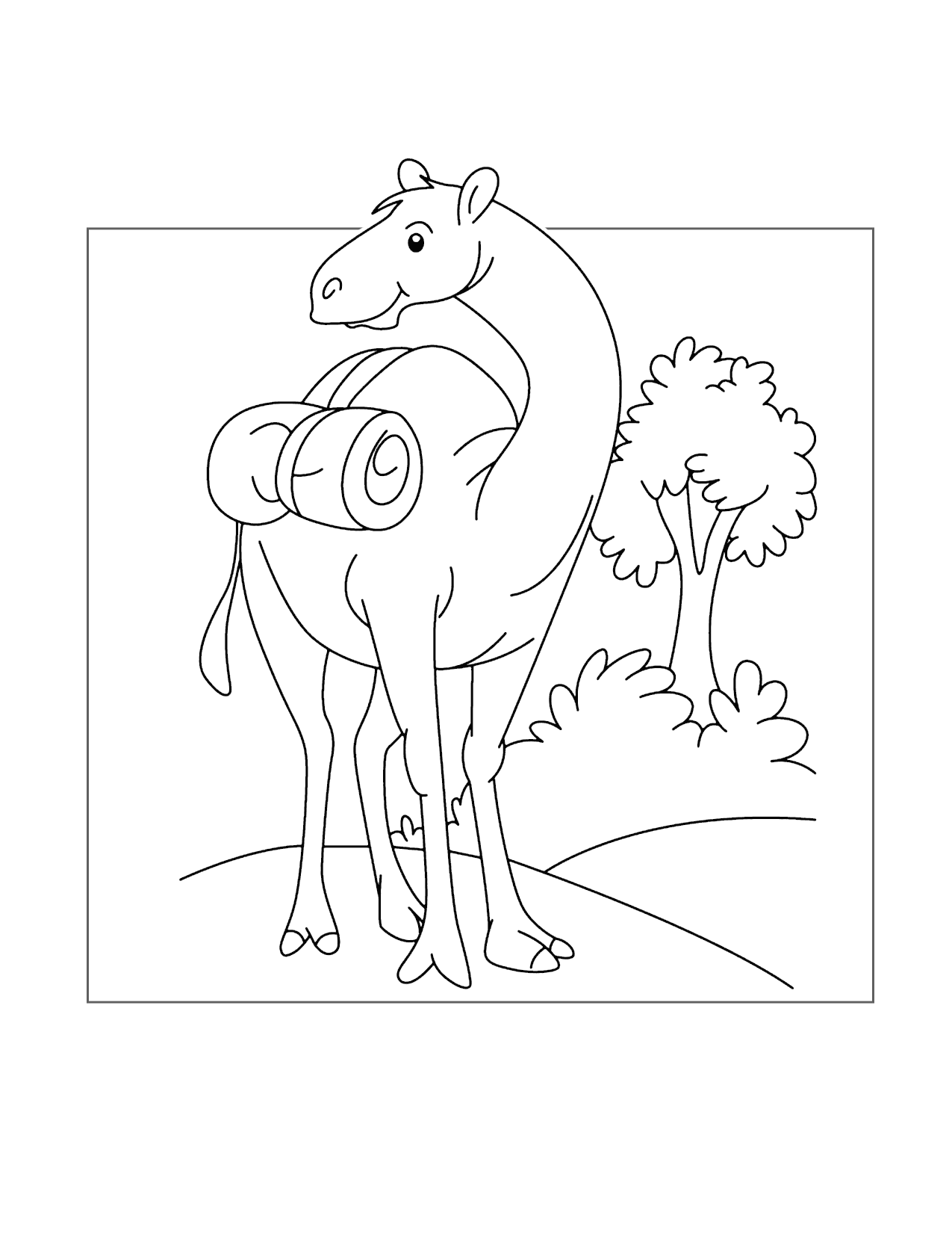 191 Desert Animals Coloring Pages for Kids Printable 75