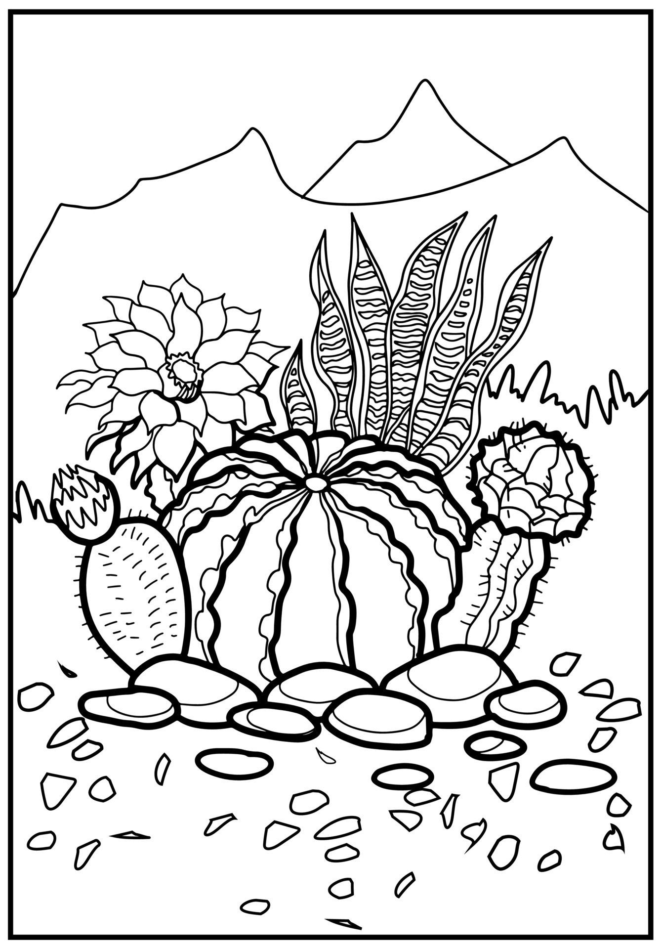 191 Desert Animals Coloring Pages for Kids Printable 81