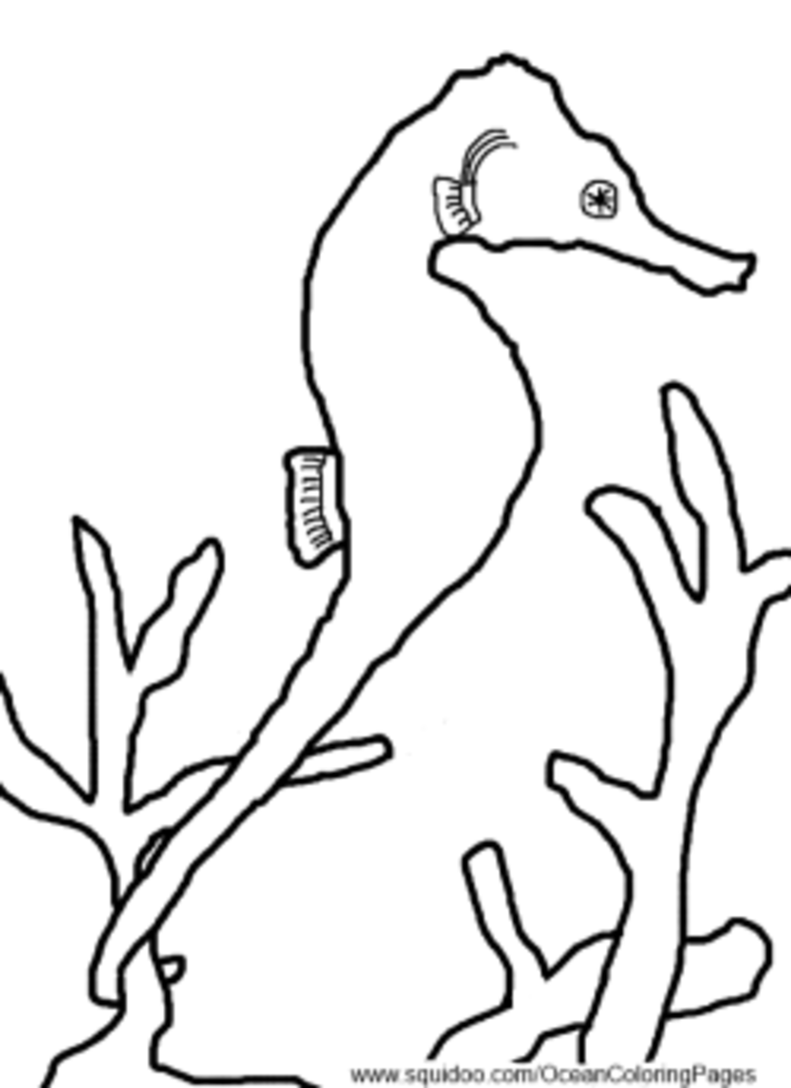 191 Desert Animals Coloring Pages for Kids Printable 87