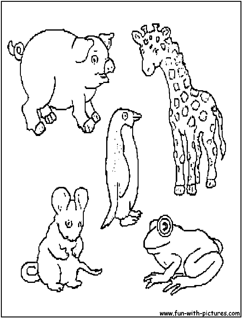 191 Desert Animals Coloring Pages for Kids Printable 90