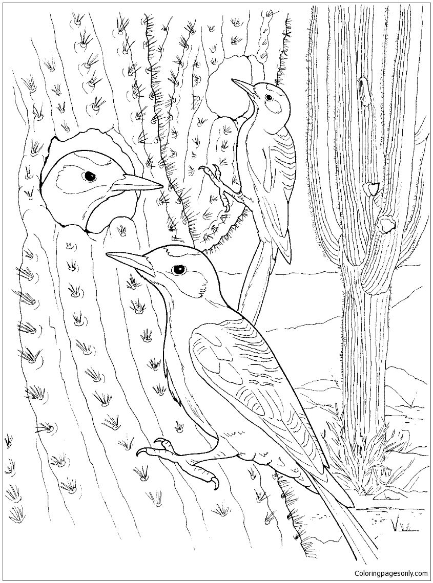 191 Desert Animals Coloring Pages for Kids Printable 97