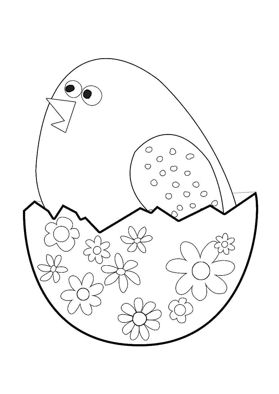 192+ Chicken Easter Coloring Pages Printable 137