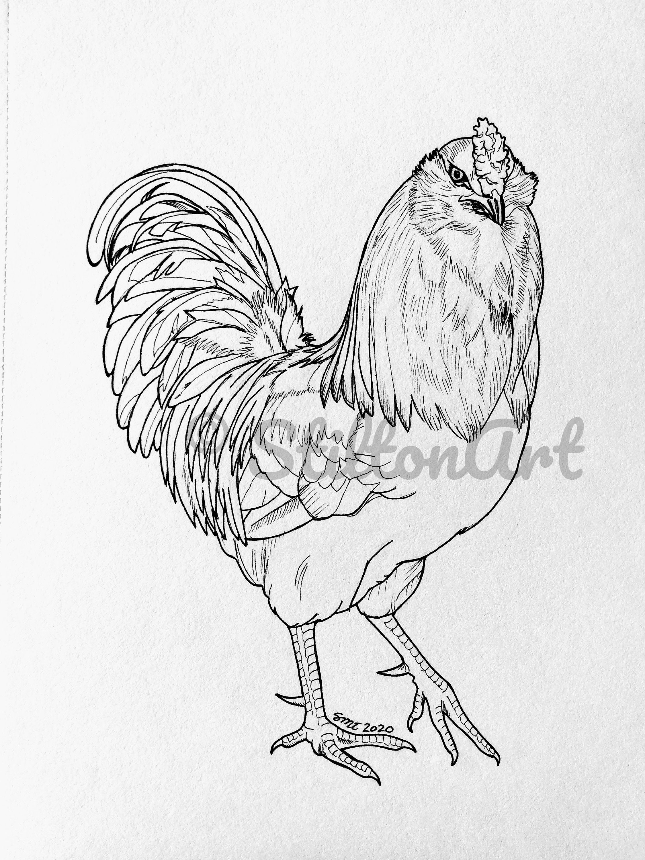 192+ Chicken Easter Coloring Pages Printable 45