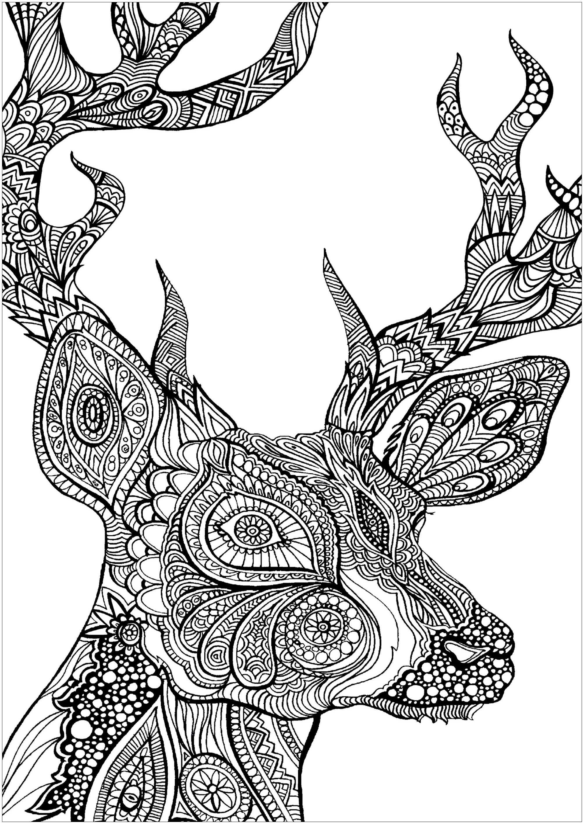 195+ Coloring Page of a Deer Printable 103