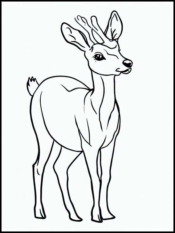 195+ Coloring Page of a Deer Printable 106