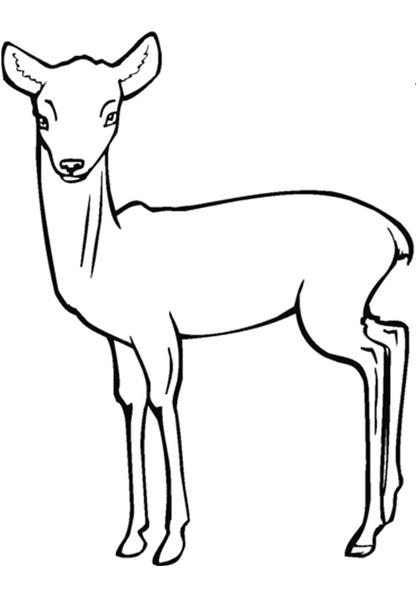 195+ Coloring Page of a Deer Printable 109