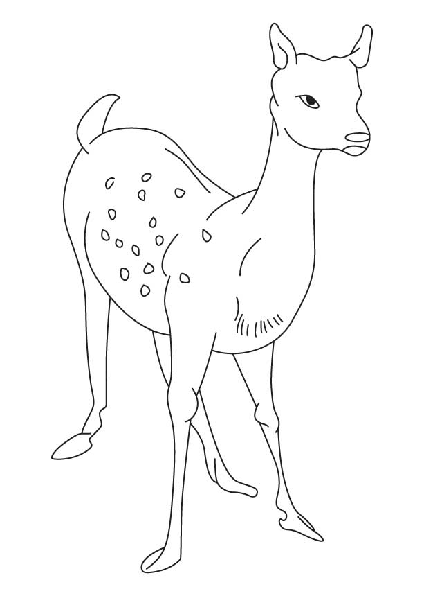 195+ Coloring Page of a Deer Printable 11