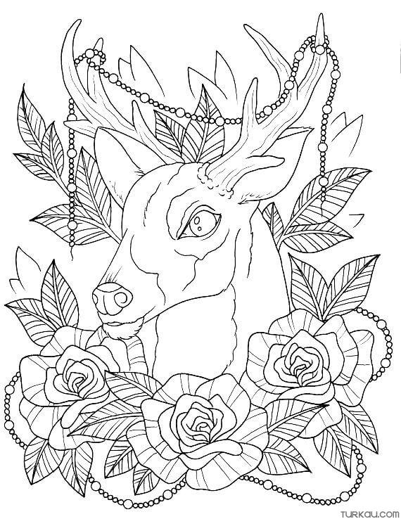 195+ Coloring Page of a Deer Printable 118