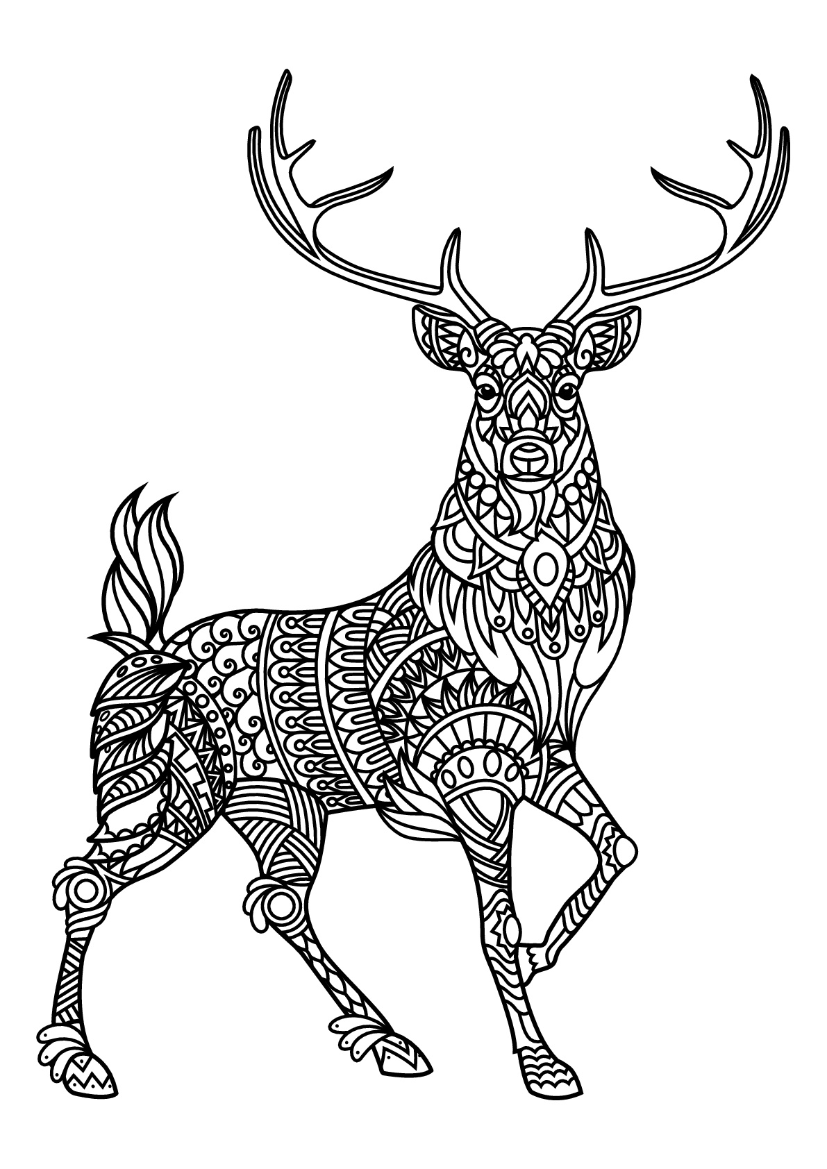 195+ Coloring Page of a Deer Printable 12