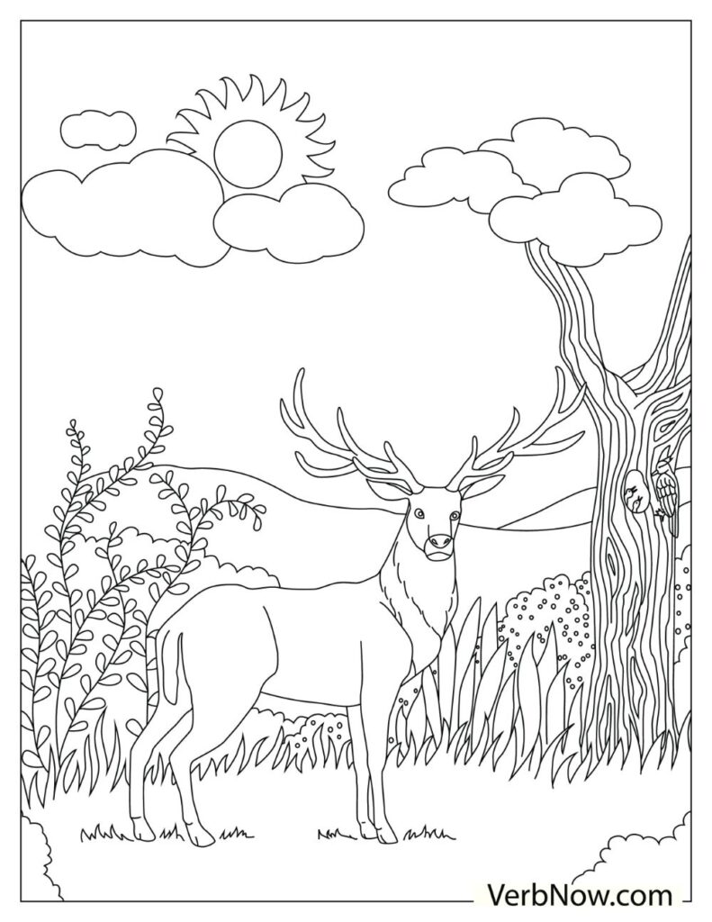 195+ Coloring Page of a Deer Printable 128