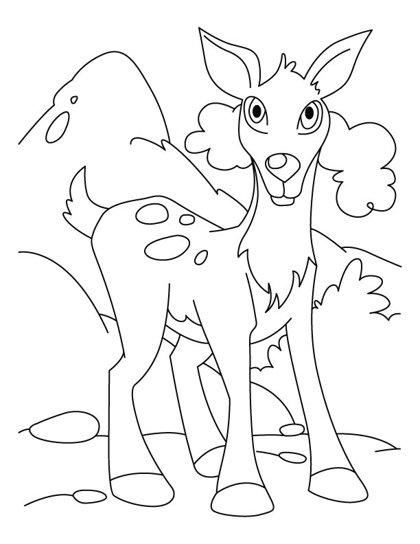 195+ Coloring Page of a Deer Printable 132