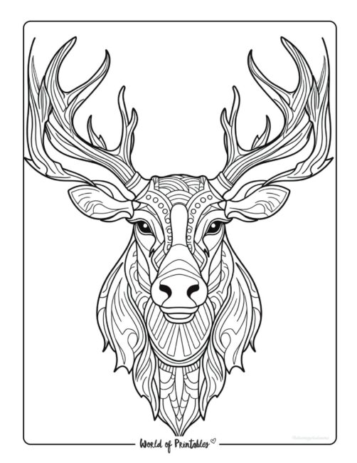 195+ Coloring Page of a Deer Printable 137