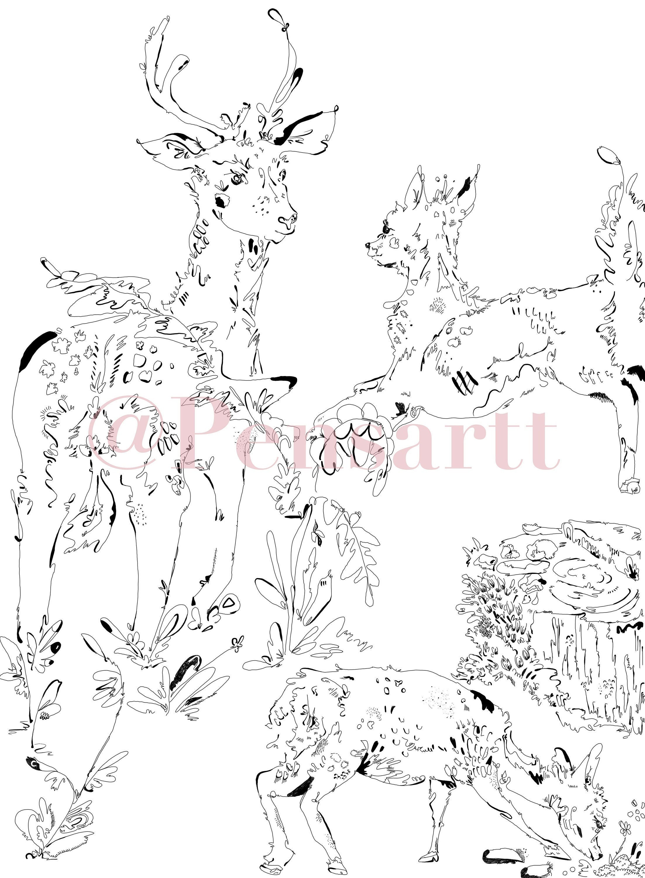 195+ Coloring Page of a Deer Printable 146