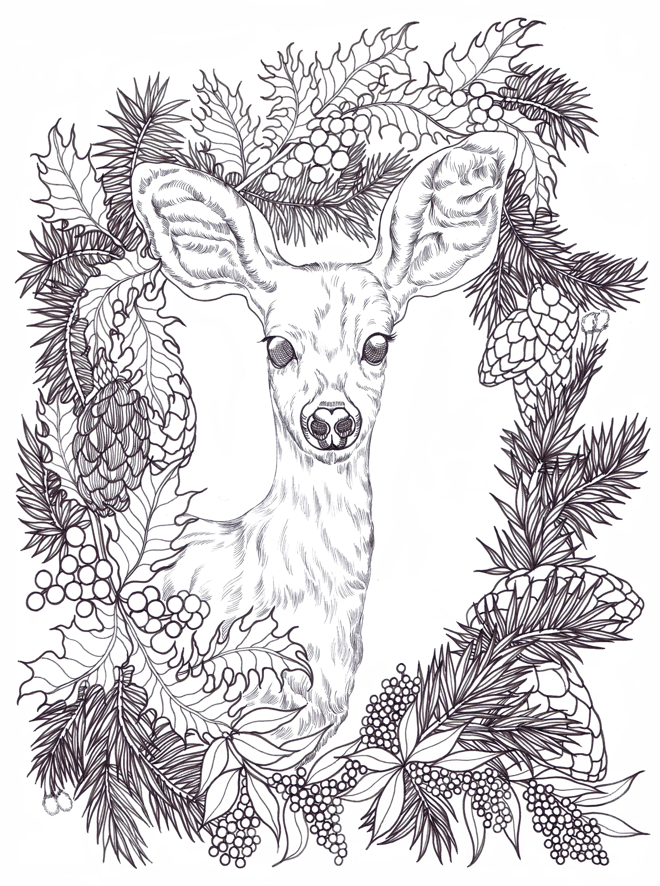 195+ Coloring Page of a Deer Printable 15