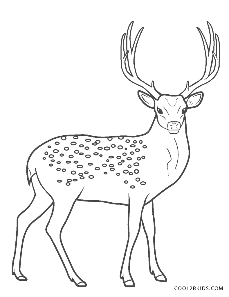 195+ Coloring Page of a Deer Printable 152