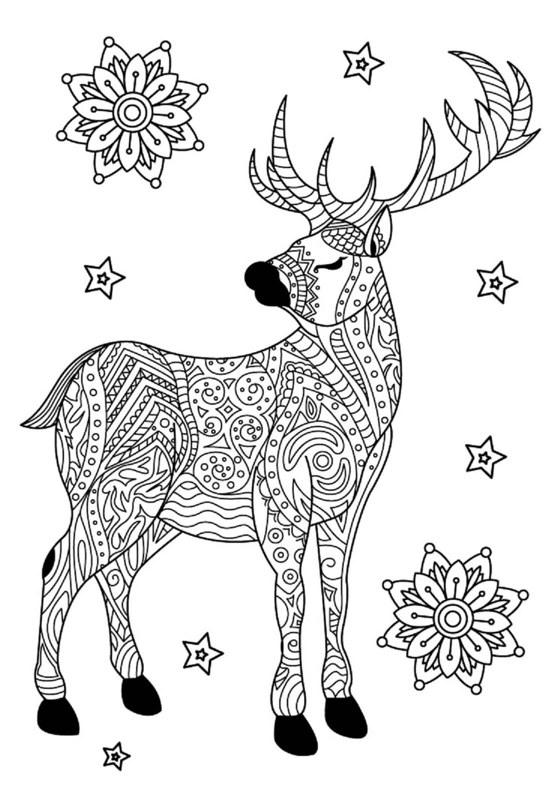 195+ Coloring Page of a Deer Printable 155