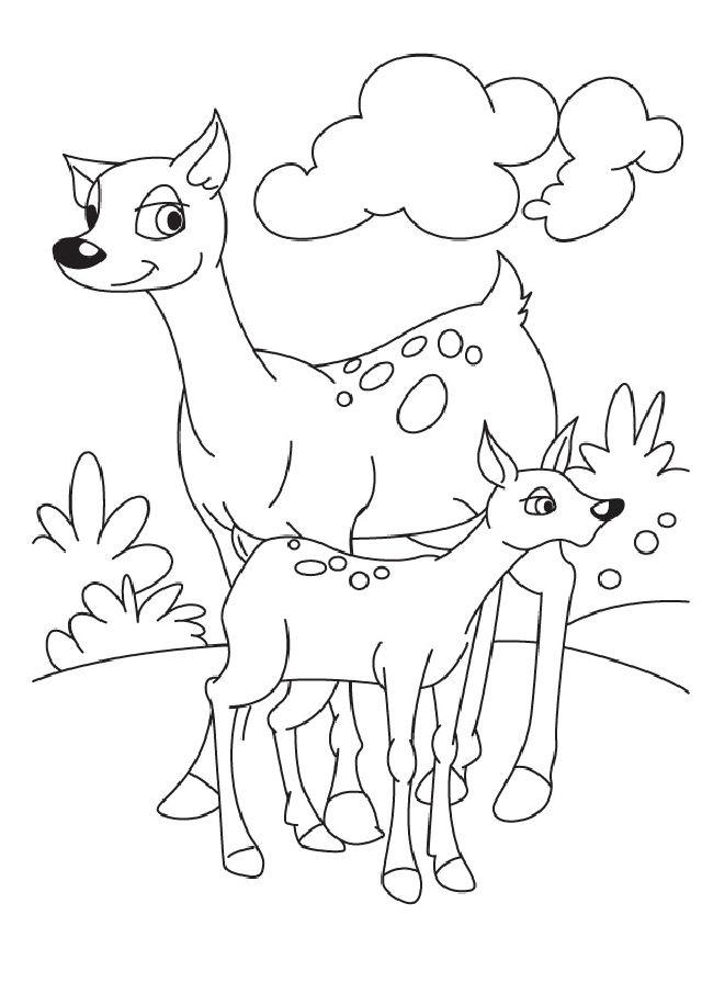 195+ Coloring Page of a Deer Printable 156