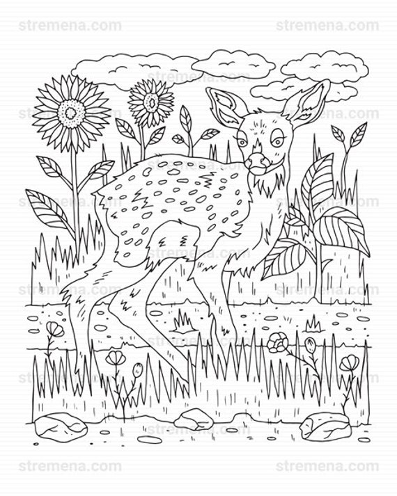 195+ Coloring Page of a Deer Printable 162