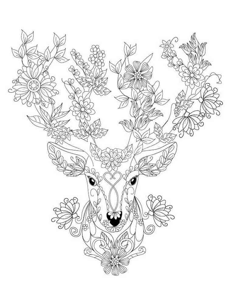 195+ Coloring Page of a Deer Printable 165