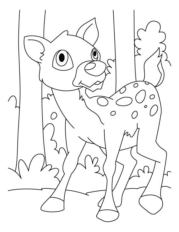 195+ Coloring Page of a Deer Printable 166