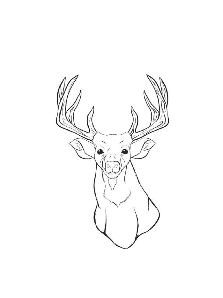 195+ Coloring Page of a Deer Printable 178