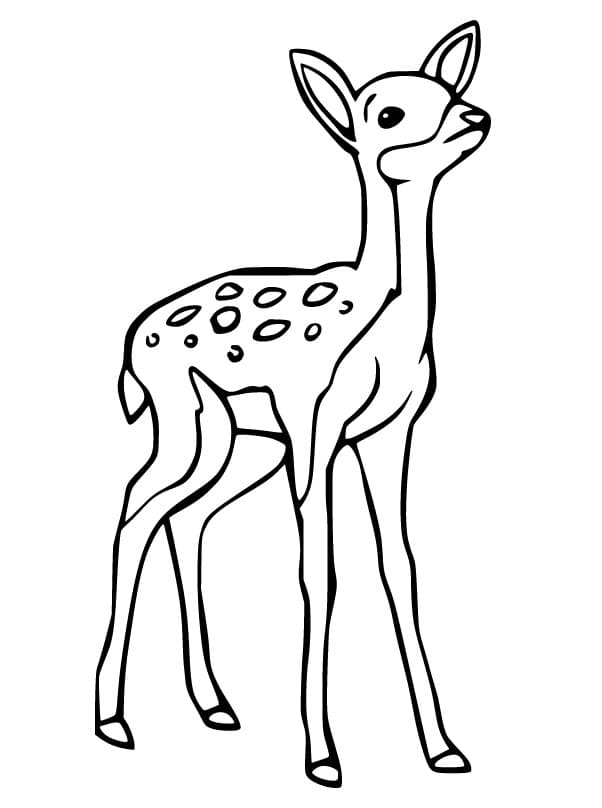 195+ Coloring Page of a Deer Printable 180