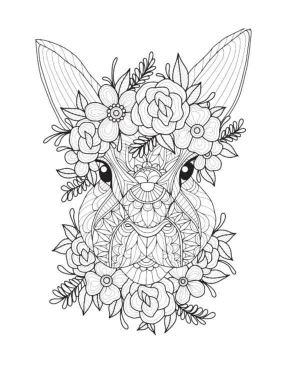 195+ Coloring Page of a Deer Printable 181