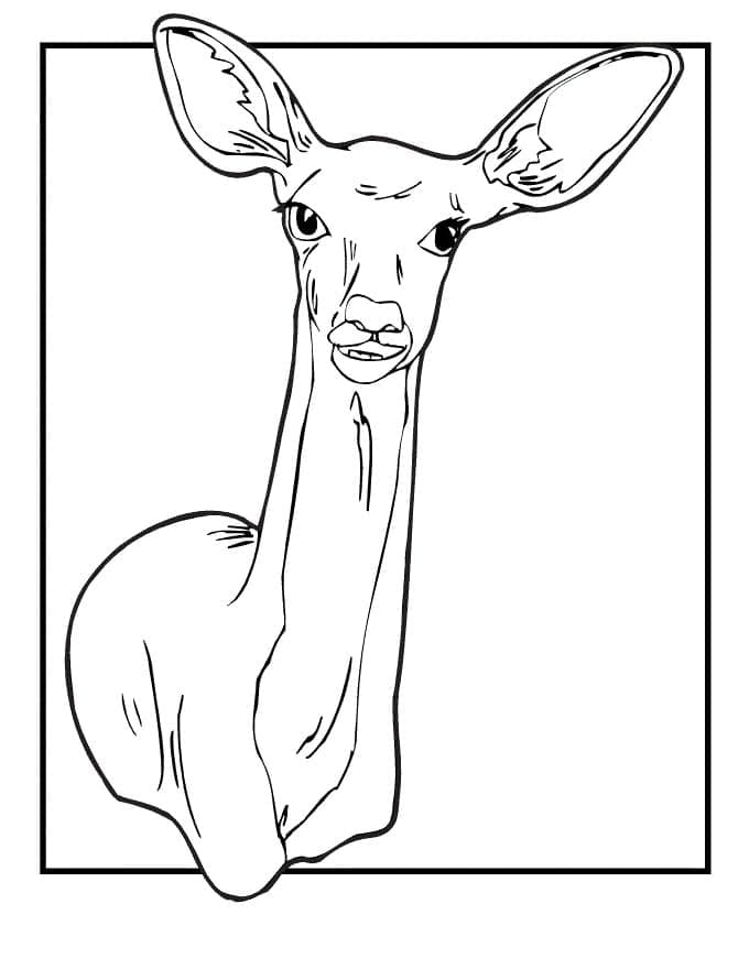 195+ Coloring Page of a Deer Printable 183