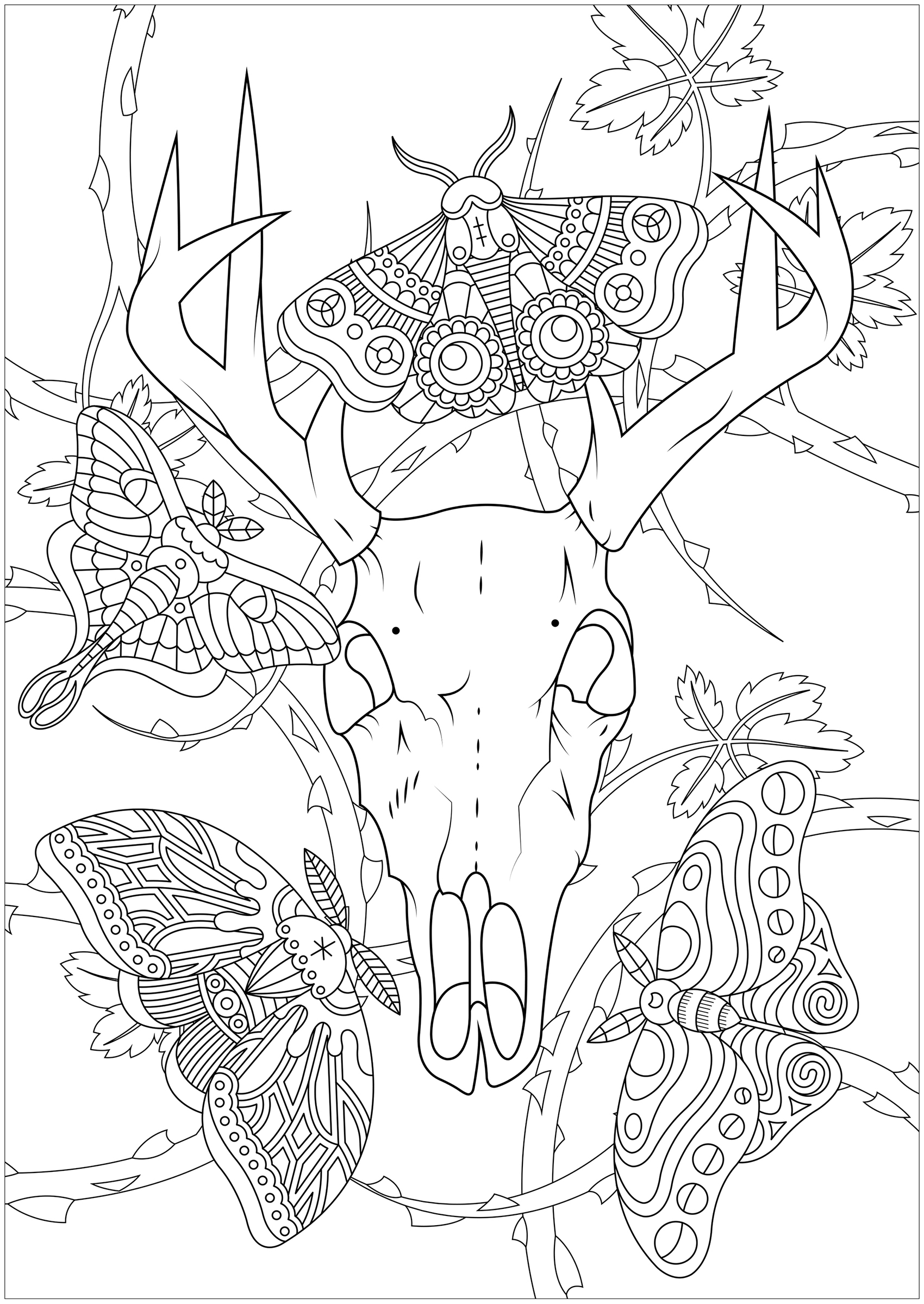 195+ Coloring Page of a Deer Printable 191