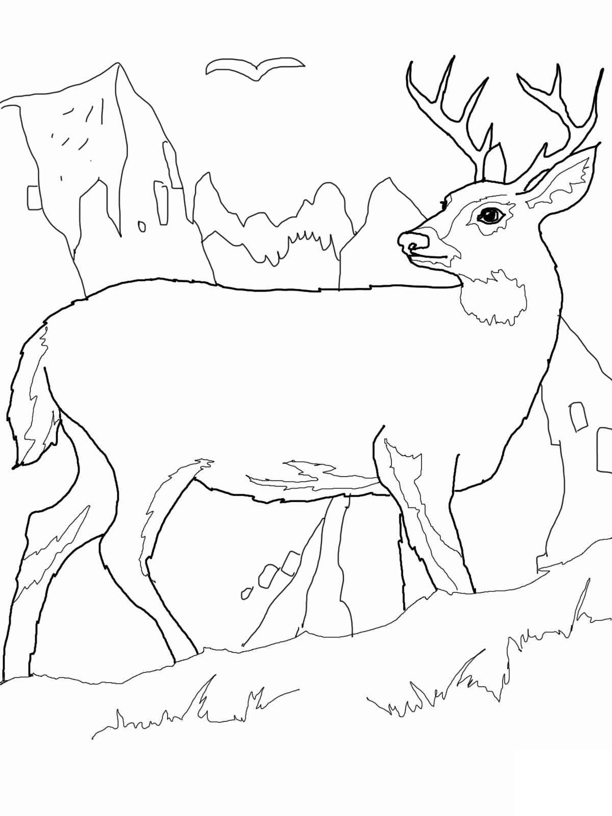 195+ Coloring Page of a Deer Printable 20