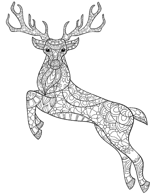 195+ Coloring Page of a Deer Printable 24