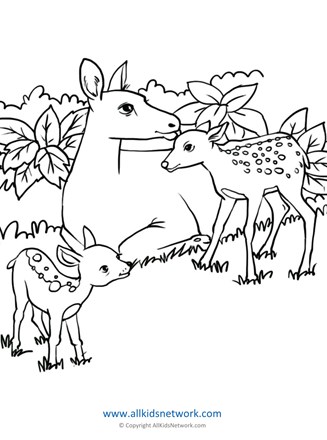 195+ Coloring Page of a Deer Printable 27