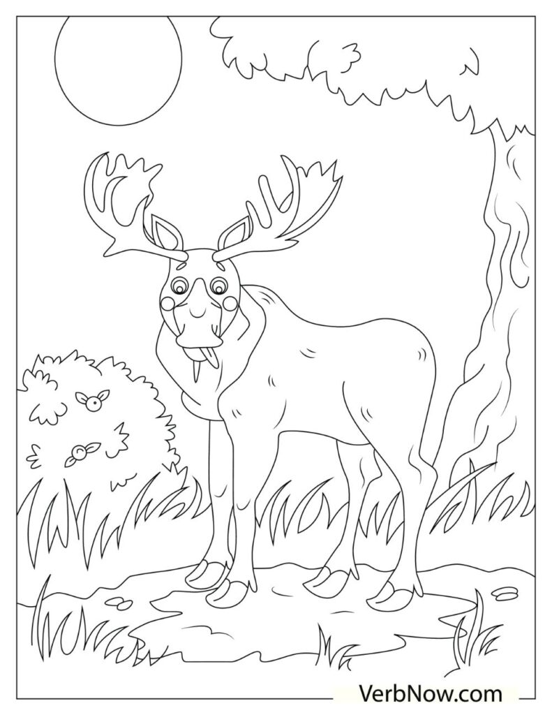 195+ Coloring Page of a Deer Printable 3