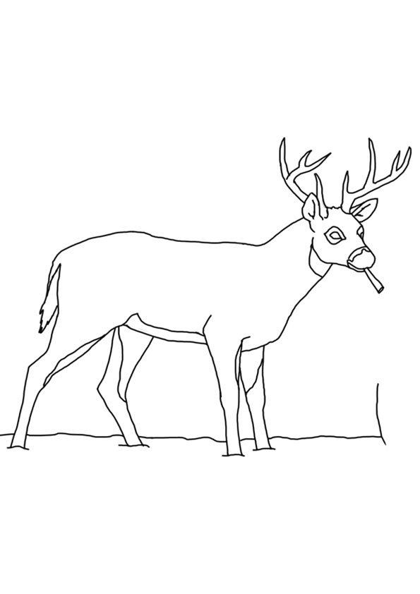 195+ Coloring Page of a Deer Printable 40