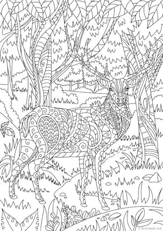 195+ Coloring Page of a Deer Printable 42