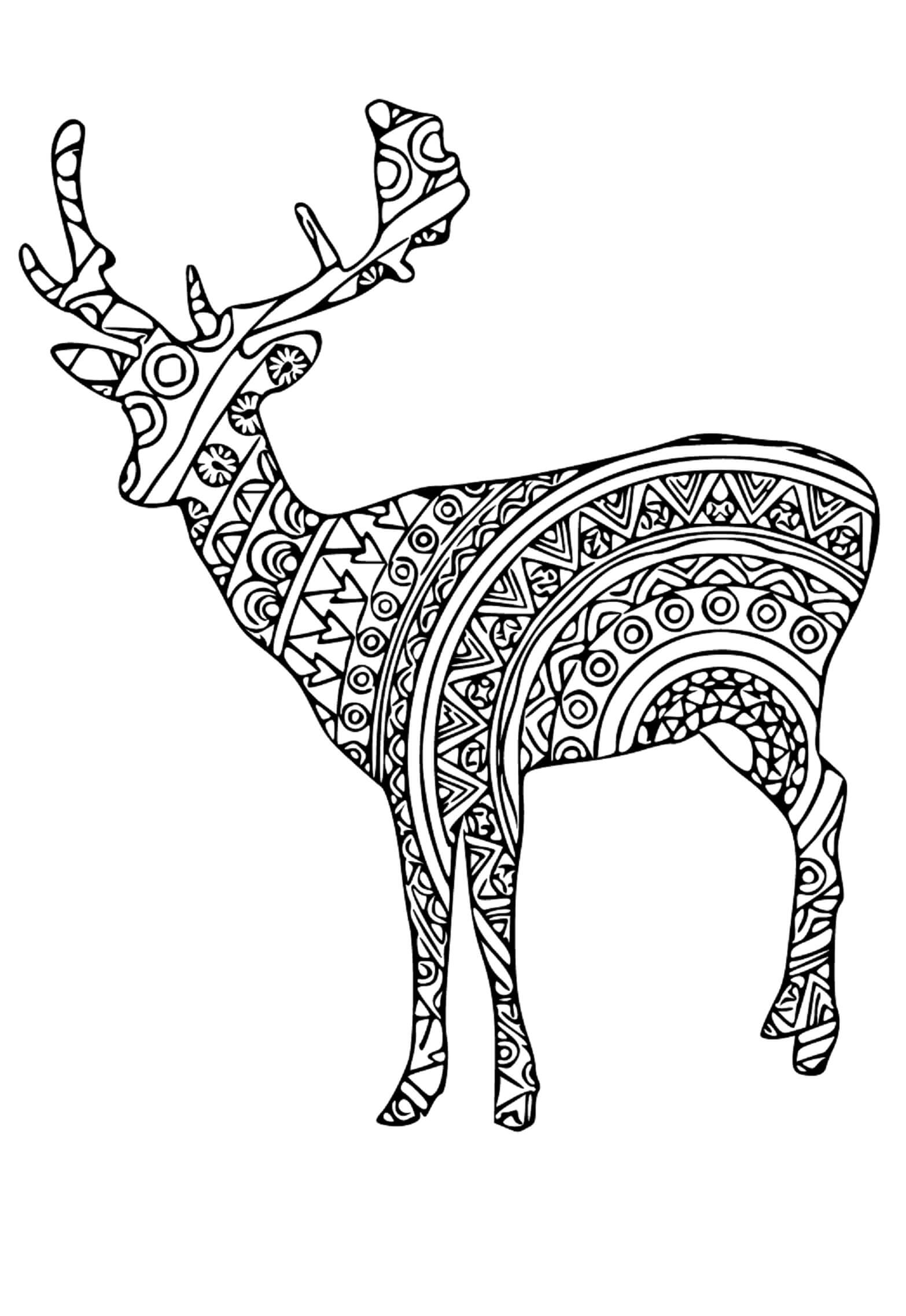 195+ Coloring Page of a Deer Printable 46