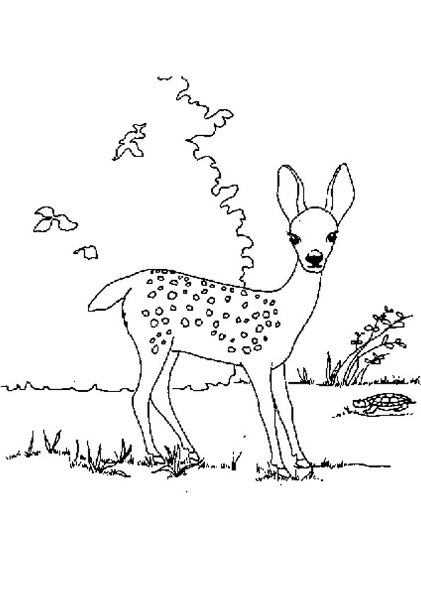 195+ Coloring Page of a Deer Printable 48