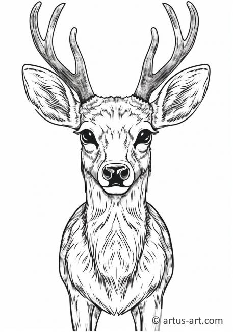 195+ Coloring Page of a Deer Printable 54