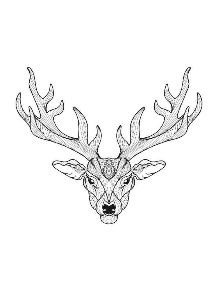 195+ Coloring Page of a Deer Printable 56