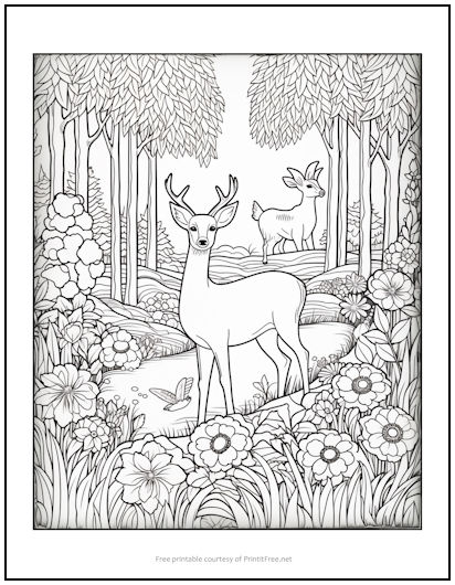 195+ Coloring Page of a Deer Printable 59