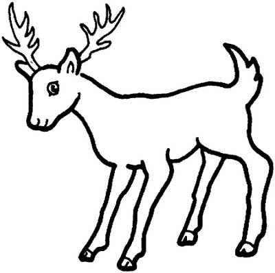 195+ Coloring Page of a Deer Printable 62