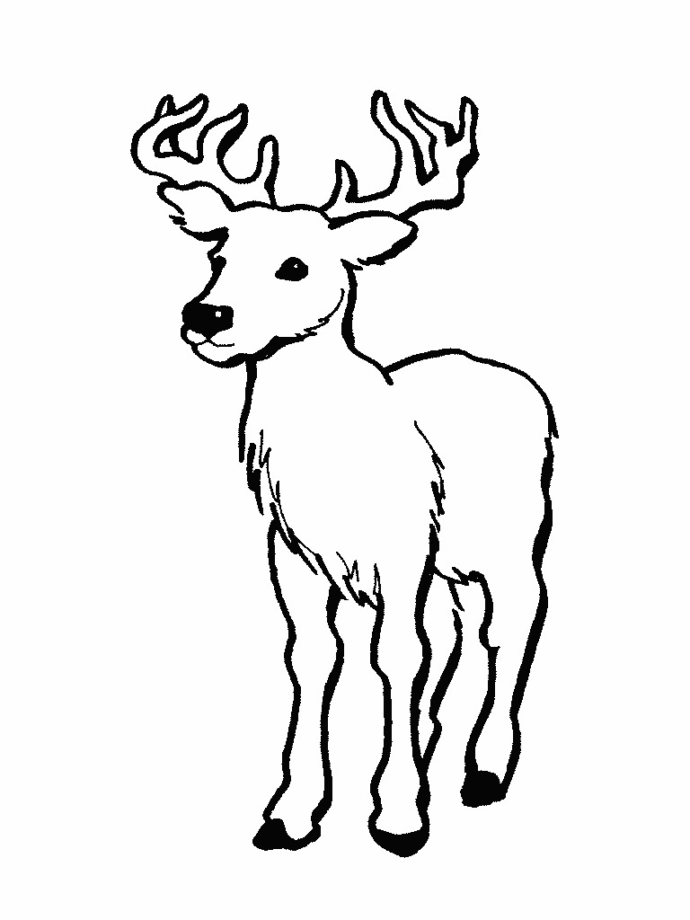 195+ Coloring Page of a Deer Printable 71