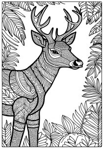 195+ Coloring Page of a Deer Printable 76