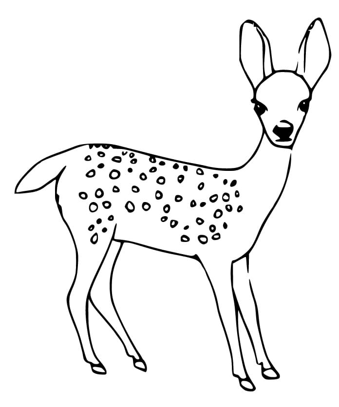 195+ Coloring Page of a Deer Printable 77