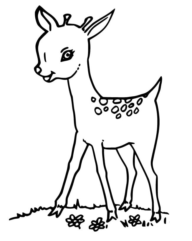 195+ Coloring Page of a Deer Printable 78