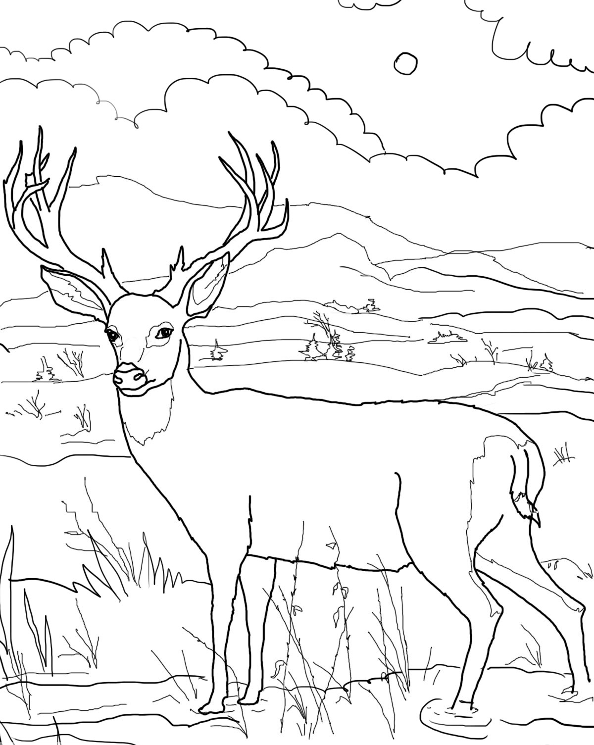 195+ Coloring Page of a Deer Printable 84