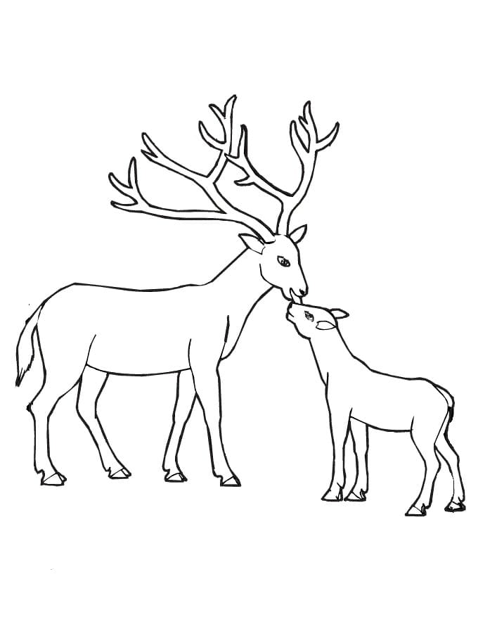 195+ Coloring Page of a Deer Printable 88